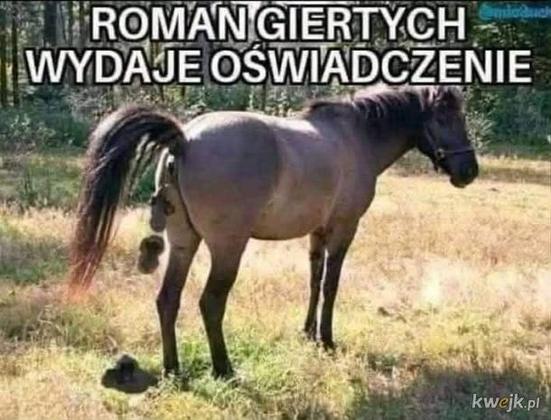 Piotr1648's tweet photo. @GiertychRoman Ciebie powinni zamknąć Tusk, Kaczyński, Morawiecki, Mentzen i Bosak, ponad podziałami, dla dobra Polski, koniu! https://t.co/uUDwB8bCht