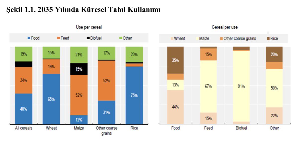recepnazli's tweet photo. 2035 yılı itibarıyla tahılların %40'ının
doğrudan insan tüketiminde, %34'ünün hayvan yemi olarak kullanılması
öngörülüyor https://t.co/nggzawNTAk