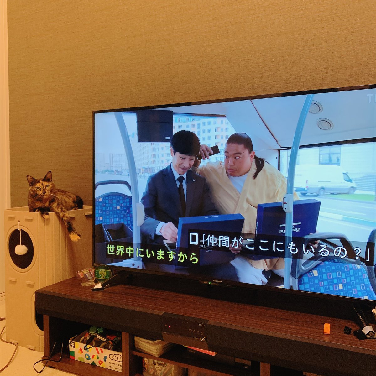 asarichan0420's tweet photo. ヴィヴァン楽しかったね https://t.co/aW7ewJAsjO