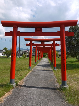 ixsa0666's tweet photo. こんばんは☺️
先日桂川町に用事があり、行ってきました。
用事が終わり、その帰りに鳥居が見えてきたのでふらっと立ち寄りました☺️
神社名は「宮森神社」
とても手入れがされており、鳥居が綺麗なお稲荷様。
暑かったので、足早になりましたがお参りさせていただきました。 https://t.co/9UxzjZQEii