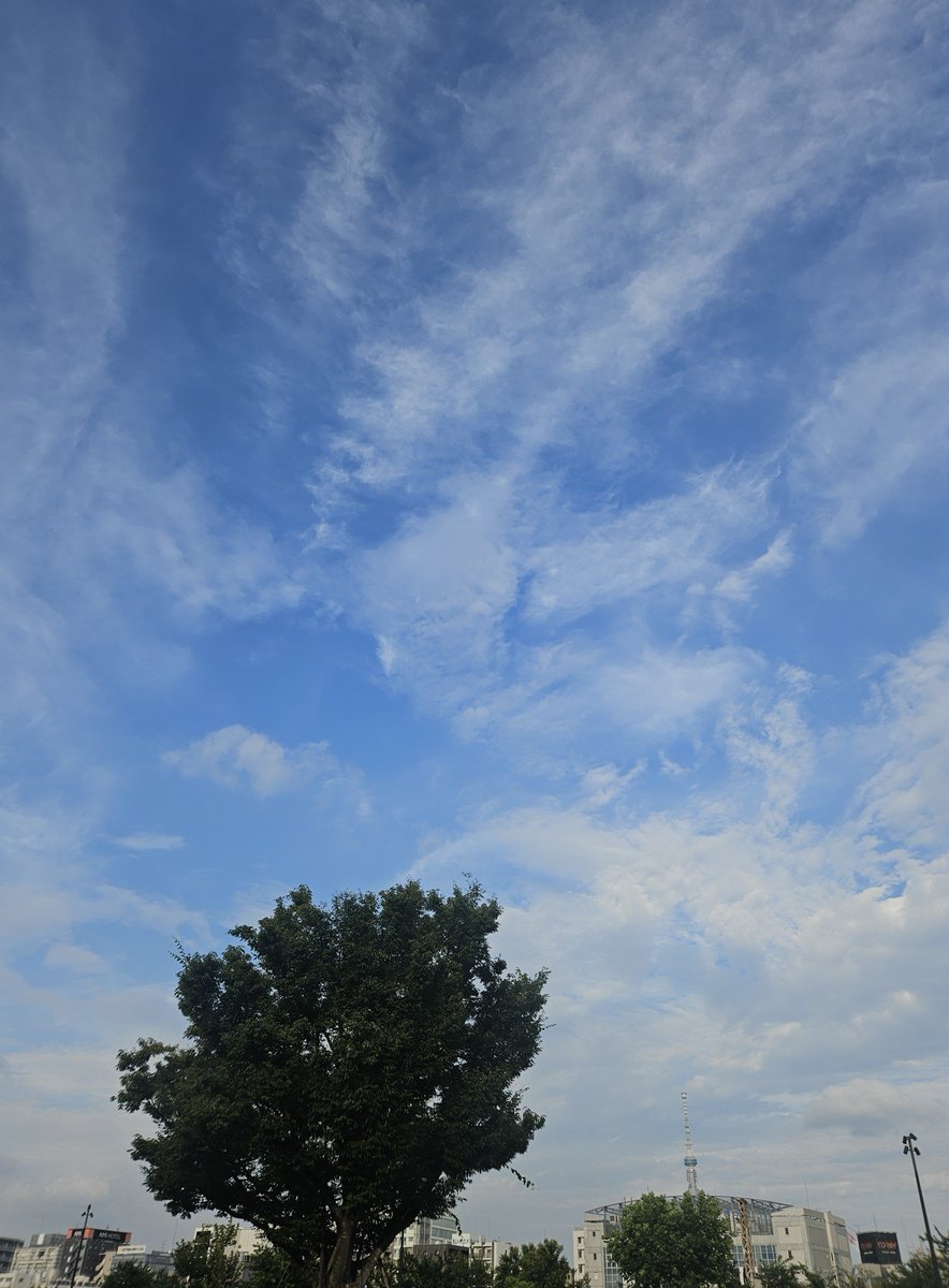 369694's tweet photo. #イマソラ #今日の空 #空
2026/07/26 昨日今日と東京の空は⚡️☔の豪雨っぷりにﾋﾞｸﾋﾞｸしながらも
何とか打たれないで回りました
しかし湿度が凄いね😱しんどいね

 #CHIMIRO  のライブは行く度に
毎回'良かったぁ~❣️'しか出ません🥰

明日もまた良い日で…🍀🤗
#チャン・グンソク #장근석 #張根碩 https://t.co/6AZK5LoTlA
