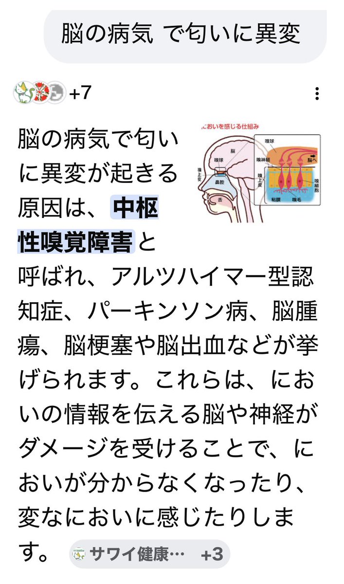 rirurumeru2's tweet photo. @shinitaimogura @maaaa0608 よく物が掴めなかったりするから、嫁の脳に異常があるのか？
嫁自体が洗すぎによって臭いを吸収する様になってしまったか？

周りの保護者が気を遣って言わないのか？ https://t.co/4BPxbehdWl