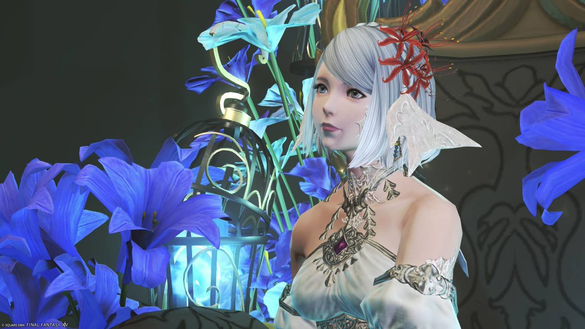 Lua_Mellow14 tweet picture