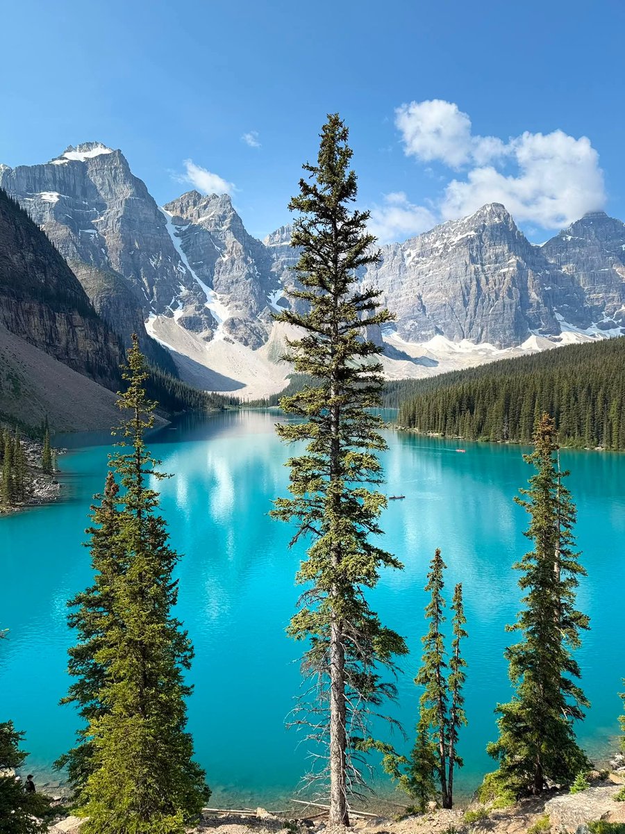 naturebeauty760 tweet picture