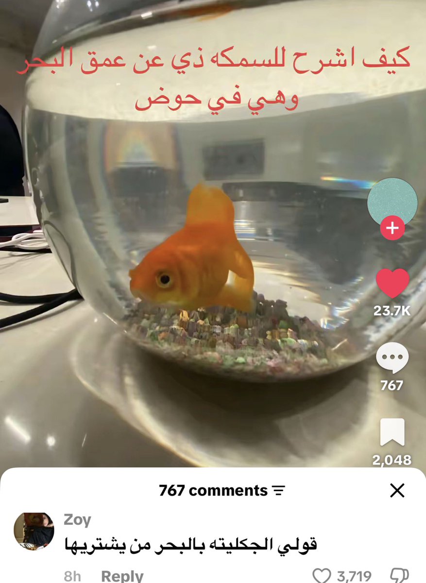 screaminnng's tweet photo. https://t.co/1xNqqZbckW