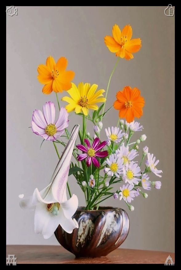 Tawkeir2's tweet photo. 👔Commit to choosing happiness each and every day from this moment onward.698792My heart fills with genuine, humble gratitude whenever you embrace my unpredictable and chaotic moods without a word of complaint, your patient gentleness serving as a silent testament to your unwave https://t.co/mAxHa8yjZN