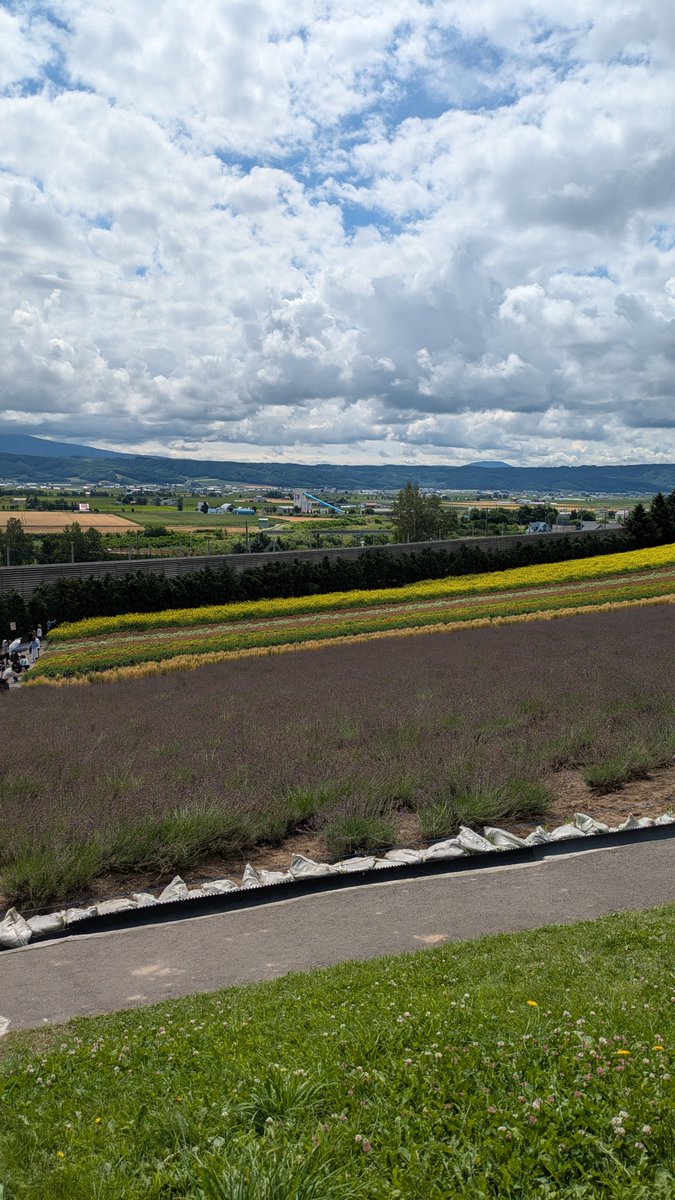 KSNG_310's tweet photo. 今日は富良野〜

ラベンダー🪻は枯れ始めてたけど雄大な自然を堪能して大満足❗️

涼しくて歩きやすい一日でした。 https://t.co/9izqsPzjpq