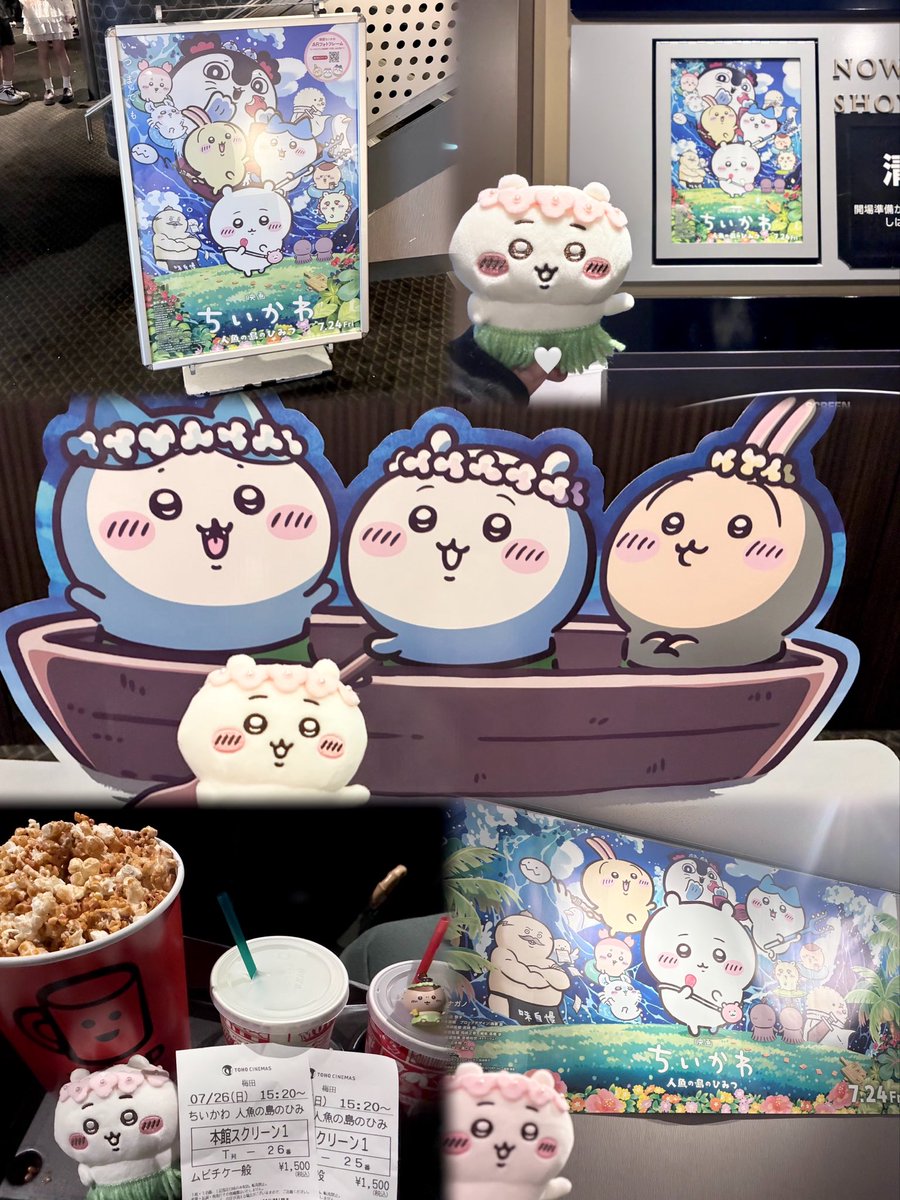 は🐱✩ tweet media