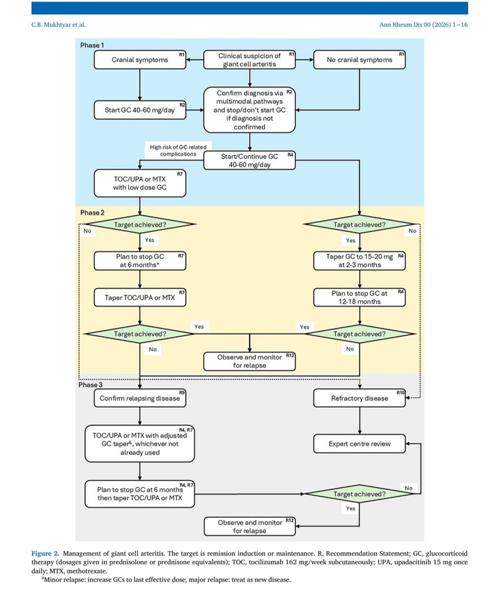 autoinMI_tauli's tweet photo. EULAR recommendations for the management of PMR and primary large vessel vasculitis

⏩ 4 overarching principles
⏩12 recommendations, 
Adjunctive therapy: interleukin IL6inhFor PMR and GCA or upa for GCA. 
⏩MTX may be an alternative. 

https://t.co/Z9vOHpmQJL https://t.co/mrm6DHfziz