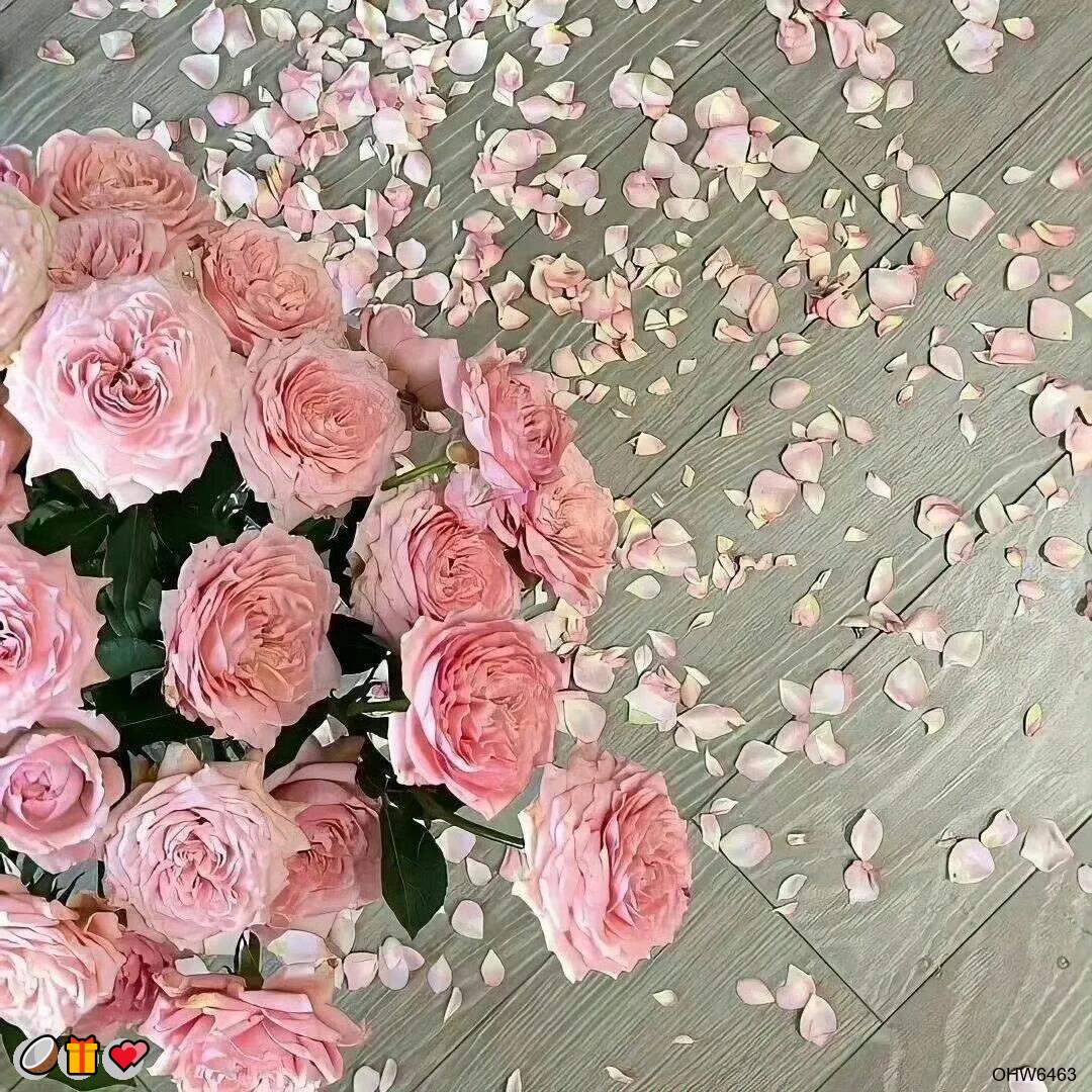 MLucia43085's tweet photo. 👍网调💯维密圈💝白丝🌸白幼瘦😄白虎🥳红绿灯💯绿帽😁绿帽奴💯麻豆😋萝莉🔥蜜桃臀🤗调教😋颜射👏馒头B😆榨汁机✨健身😁曝光✨远程控制👏问答😆粗口

企鹅裙：1818089
X：@zhien52000
飞机：zuoyi1v1
裸聊/连麦/文爱/调教/寸止 https://t.co/6k5BCt6PYK
