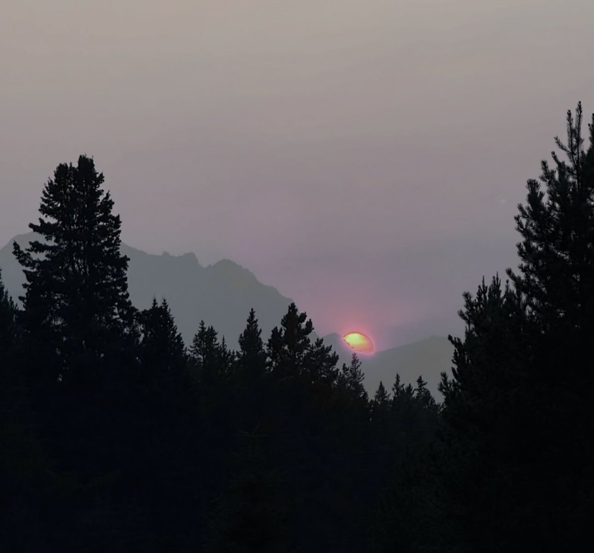 F28AI's tweet photo. كلما اتسعت معارف الإنسان وازداد علمه، قلّت رغبته في الجدال.
وكلما نضج عقله، ظهر فيه خُلق التغافل. https://t.co/XdIOZ45jY5