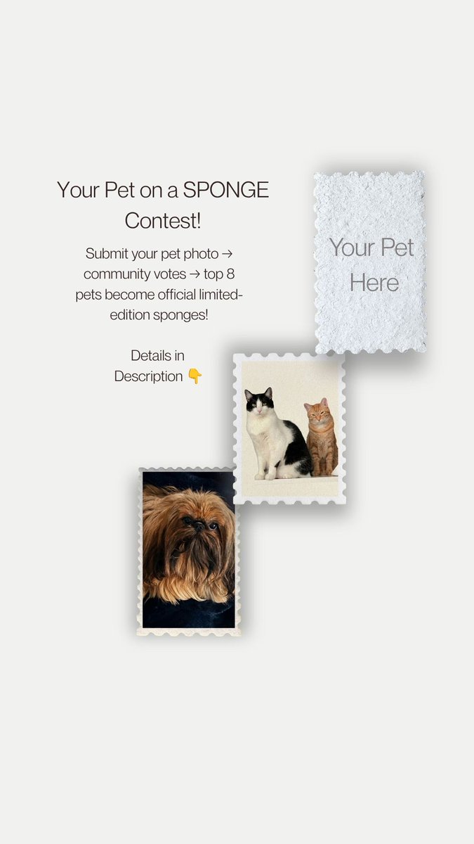 UnderdogKitchCo's tweet photo. Can your pet or art handle being featured on one of the world's most awarded eco sponges? 🧽🏆

We are 62% funded on Kickstarter and launching 3 community contests to unlock our next limited-edition packs: 🐾 Pet Portrait Series 👧 Kid-Casso Series 🖼️ Customer Art Series
Details to enter 👇