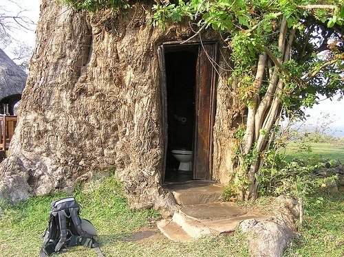 cabinsmountain's tweet photo. The baobab tree grows in parts of Africa, including South Africa, Senegal, and Madagascar. It can grow to over 140 feet tall and more than 50 feet wide. Some baobab trees are believed to live for over 5,000 years. People have used their massive hollow trunks for various purposes, including toilets, and even houses, while the trees continue to live. The baobab is often described as an extraordinary and long-lived tree, and it produces nutritious fruit that is valued for its health benefits and is believed to help with various ailments.