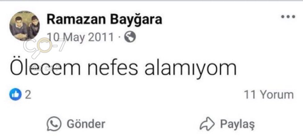 Nazlı 🍋 tweet media