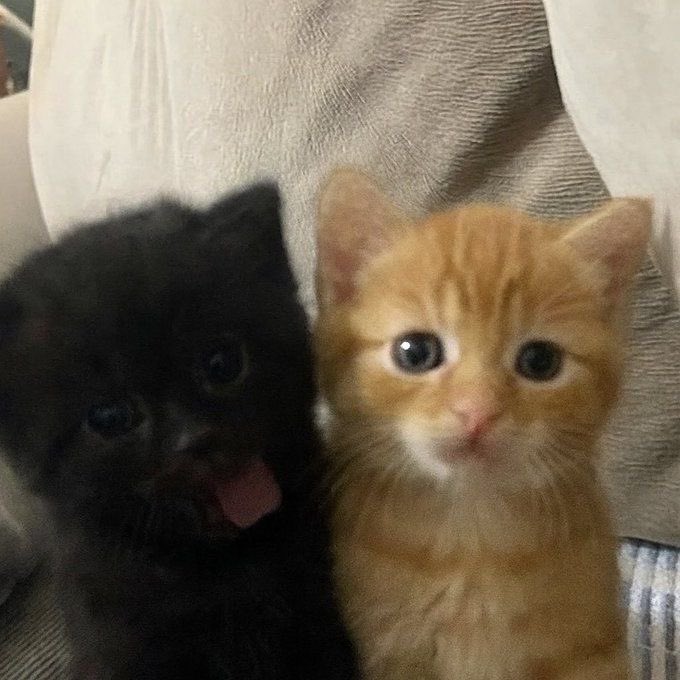 scimwp's tweet photo. me and my gf https://t.co/rAmTaCOSJH