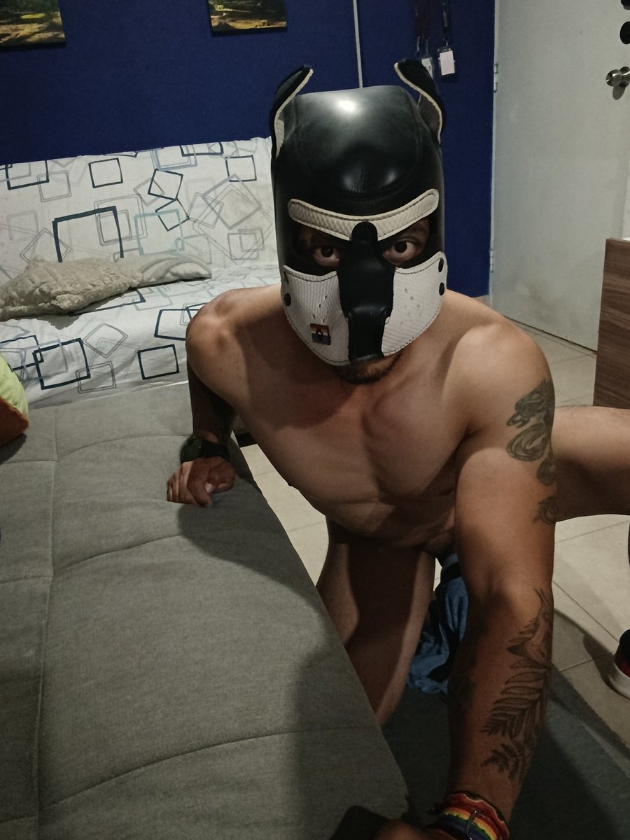 Thepupmike's tweet photo. I woke up extremely horny today, any volunteers? 😈🥵🔥🫵🏻

#PuppyPlay
#PupPlay #PuppyLife
#PupLife
#HumanPup
#PuppyCommunity
#PupCommunity
#gaypuppy
#PuppyMask https://t.co/pj1xvrzuwj