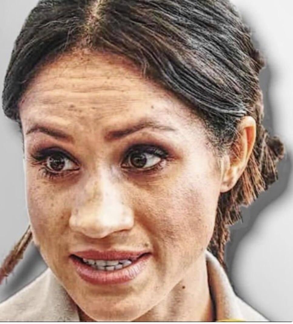 canadian_royal1's tweet photo. I can proudly say, I've never gone out of my way to hate watch #meghanmarkle the Duchess of Soho in absolutely anything that's been put out there with her in it. 
Meghan is a trashy actress, game hungry gold digger and Harry's biggest mistake in life. https://t.co/ZfHt6lvLEe