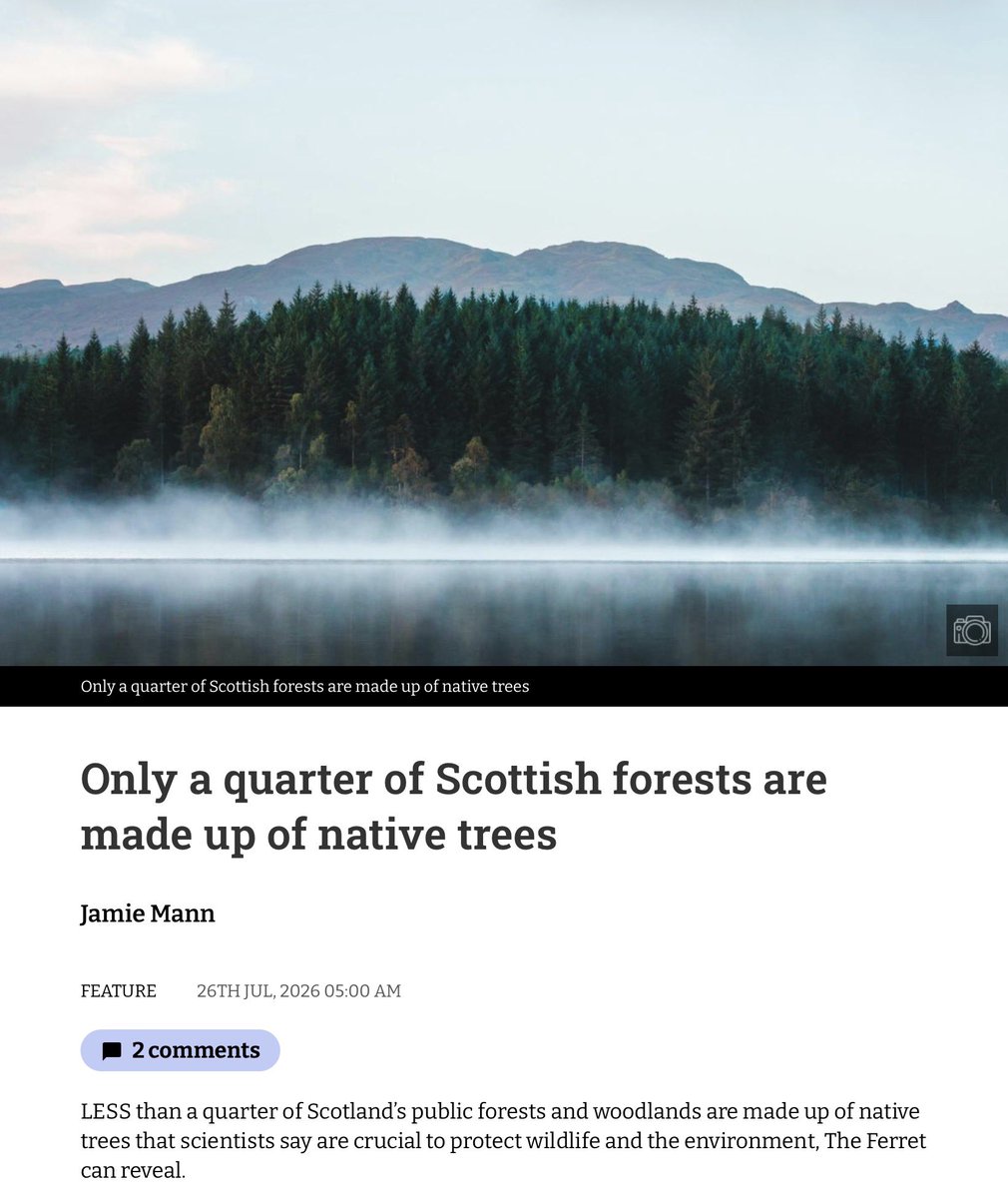 JillBelch's tweet photo. #Plantations don’t support native species as insufficient space &amp; light - experts ­question their carbon ­capturing ­capabilities as felled before trees absorb much CO2
&amp; sprayed b4 planting causing ‘areas of silence’
Support @WoodlandTrust to purchase land as Govts so little https://t.co/uOiMVuWu1x