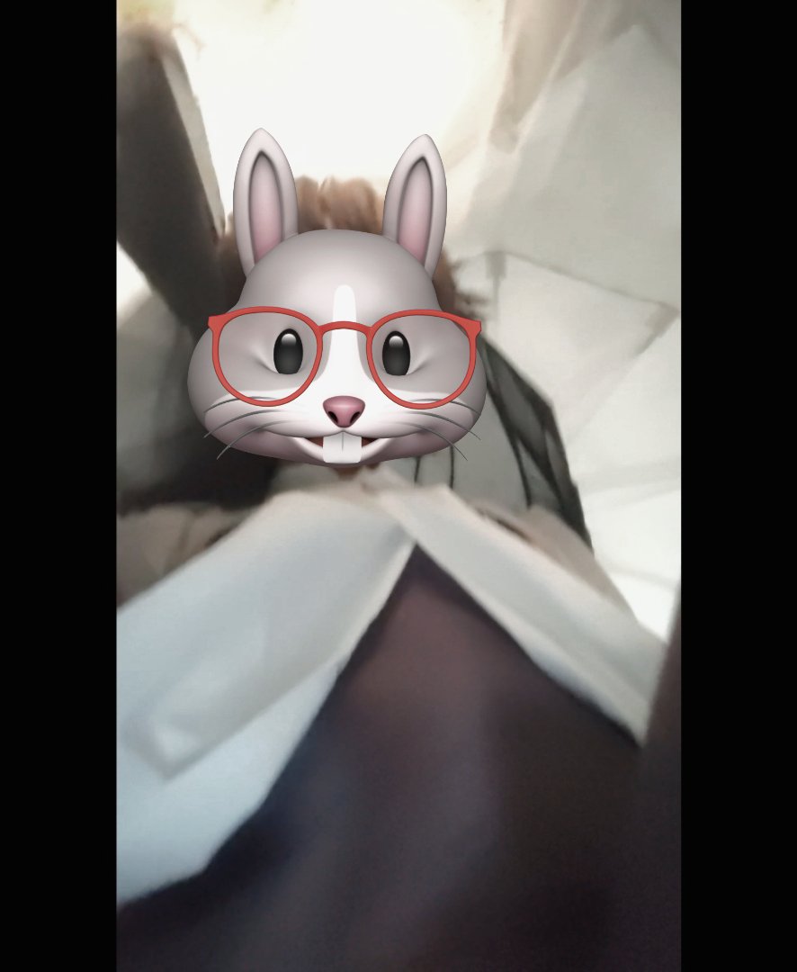 dddddudupi's tweet photo. 下次换镜子再拍咪 https://t.co/To94v4dkAd