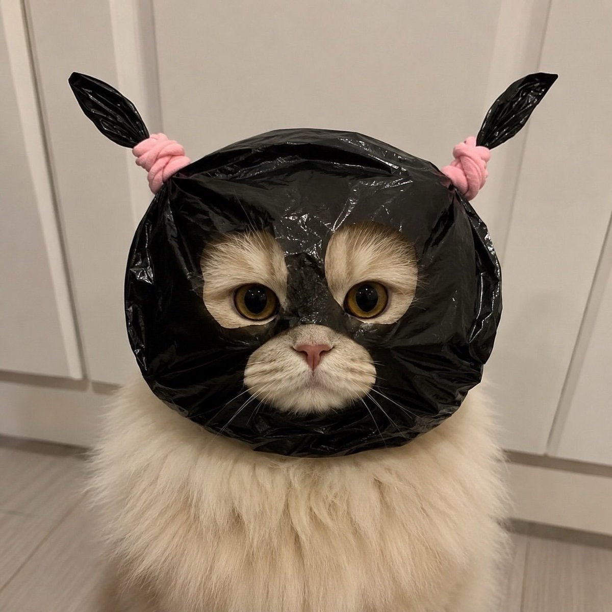 Marina9LA's tweet photo. I saw this this morning, it's so cute!😁 https://t.co/bbB547t6wm