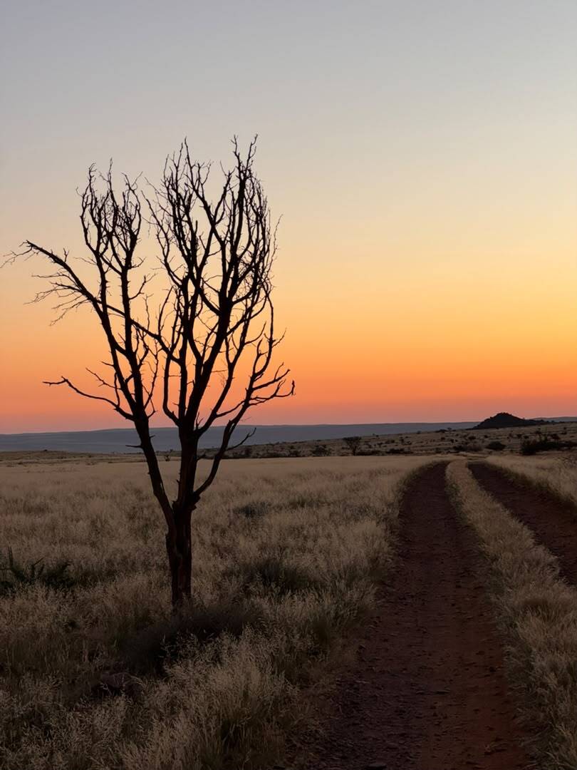 GondwanaLodges's tweet photo. The beauty of the Namib doesn't end at sunset, it simply changes.โจMake Luna Namib Collection your next getaway: https://t.co/UhGunpTvIN
๐ธ: Natascha
#LunaNamibCollection #NamibDesert #VisitNamibia #GondwanaCollection #DesertSunset #GoldenHour #LuxuryEscape #DiscoverNamibia https://t.co/7aX5p6JYdU