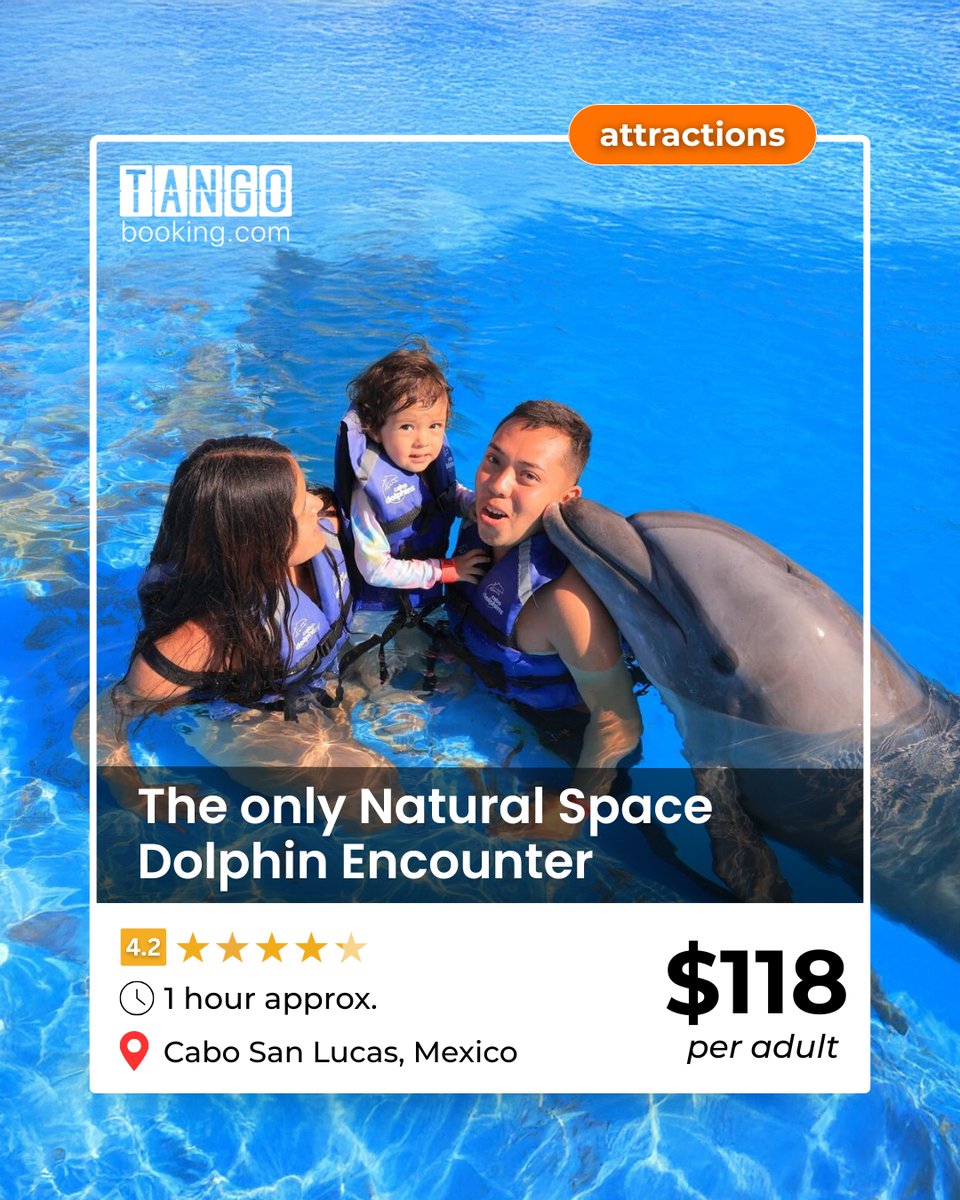 tangobookings's tweet photo. Get ready for the only Natural Space Dolphin Encounter in Cabo San Lucas! Glide through crystal-clear waters and meet your new bottlenose dolphin friend in a heartwarming, family-friendly experience.

Book your Dolphin Encounter today at https://t.co/olmEt3zHyK

#TangoBooking https://t.co/tUAcniFtDG