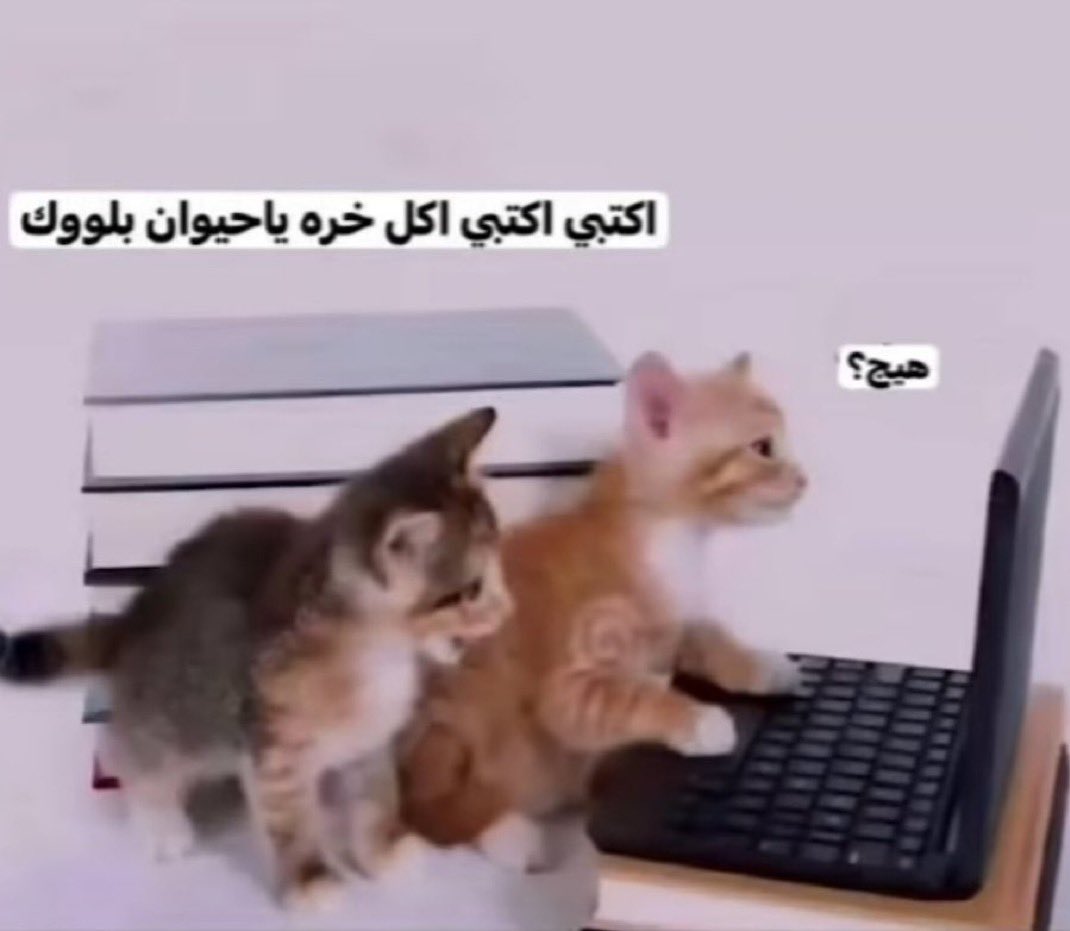 هارو tweet media