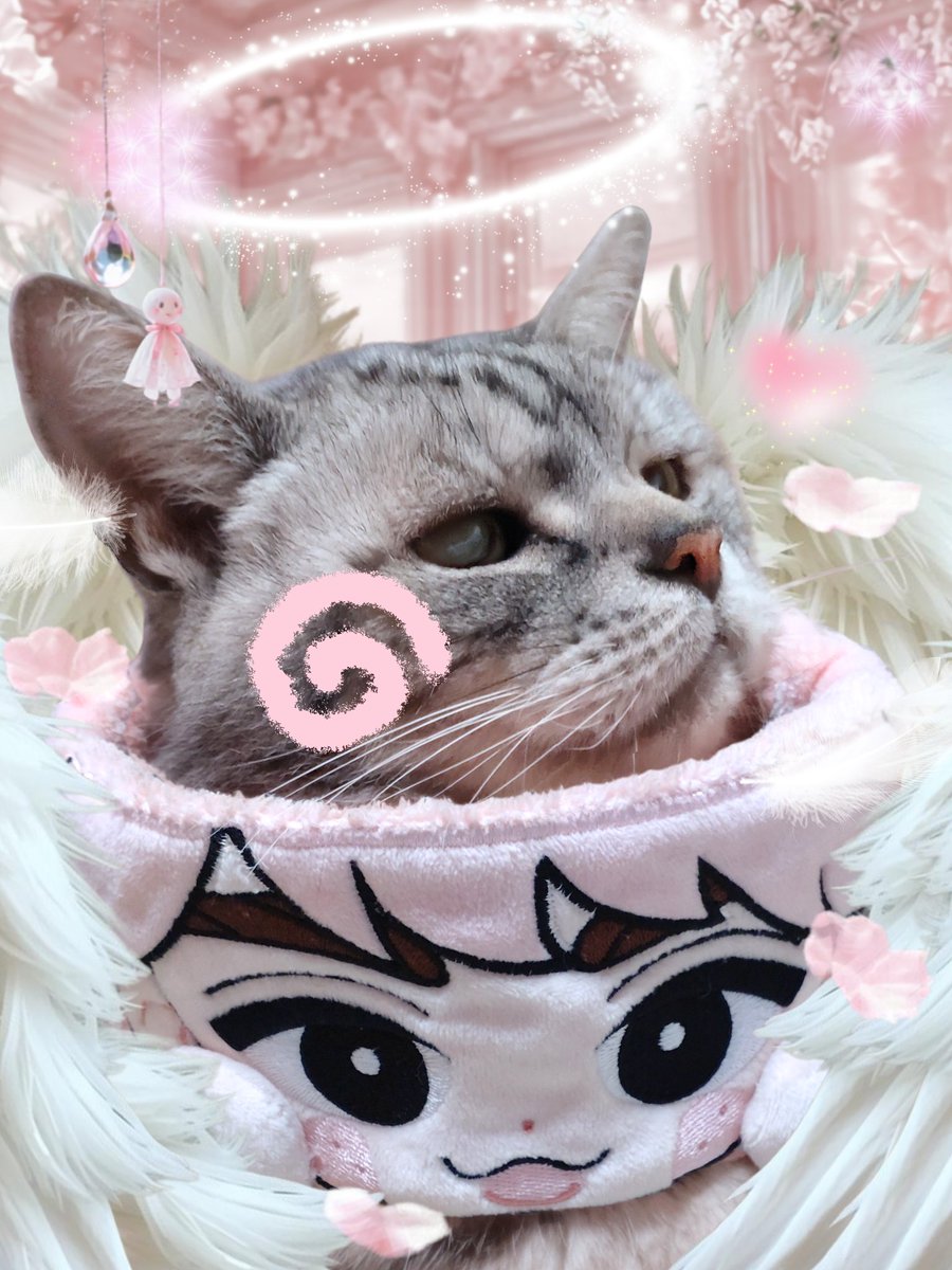 soranosuke29's tweet photo. ボクたちのだぁい好きな さっくんが神って言うの、、

なんかわかるです、ぉฅ(*´꒳`*ฅ)ꪆ

楽しくポッぷな曲調にちょとどこか
あまのじゃくな可愛さのぁる歌詞が
ほんとに良いぉ、ね
ꉂꉂ(*ˊᗜˋ*)

#オーイシマサヨシ さんの愛
ぃーぱぃ詰まてりゅ、、( *´꒳`*) https://t.co/PWknmHeKnX