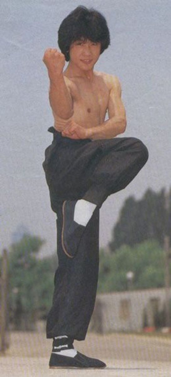 ProfPatonildo's tweet photo. I wanted to draw Lilac in a pose I saw Jackie Chan do on an old picture. Here's the photo I used for reference. https://t.co/7jXHIhPo2j