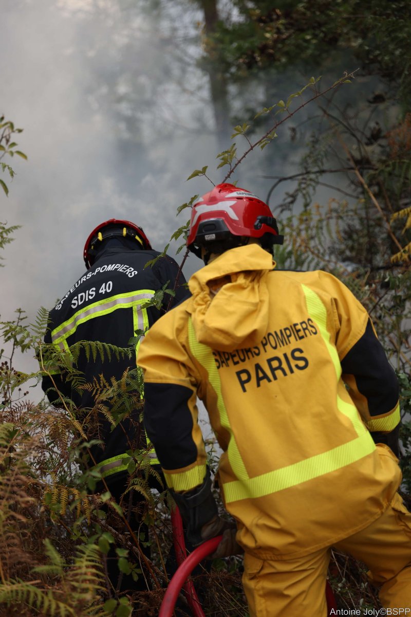 PompiersParis's tweet photo. 🚒 Mobilisés sur tous les fronts.

Alors que les sapeurs-pompiers de Paris poursuivent sans relâche leurs missions quotidiennes auprès des près de 7 millions d'habitants de la plaque parisienne, la Brigade est également engagée dans le Sud-Ouest pour soutenir les départements durement touchés par les feux de forêt.

Près de 170 militaires, accompagnés de plusieurs dizaines de véhicules, ont été projetés en renfort des SDIS 33 et SDIS 40. En Gironde, ils participent à la protection des habitations, des infrastructures sensibles et des secteurs menacés par la progression des flammes. À Biscarrosse, l'unité spécialisée de la Brigade intervient directement dans les massifs forestiers pour lutter contre les incendies.

Ce déploiement, l'un des plus importants réalisés par la Brigade hors de sa zone de compétence, illustre sa capacité à projeter rapidement des moyens humains et matériels tout en maintenant un niveau de réponse opérationnelle inchangé à Paris et dans les trois départements de la petite couronne.

À Paris, en Gironde ou dans les Landes, une même mission anime nos militaires : protéger les populations, préserver les biens et soutenir les services d'incendie et de secours engagés sur le terrain.

👏 Courage à l'ensemble des sapeurs-pompiers mobilisés.