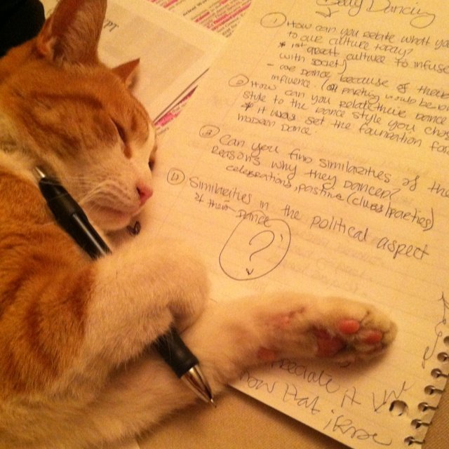 n00yu_s's tweet photo. 26.07.2026ִֶ ࣪ ִֶָ་༘࿐
────୨ৎ────
📚kᥲᥒ᥆уі's s𝗍ᥙძу ⍴r᥆grᥱss ᝰ.ᐟ

haakkkhhhh hari ini full drilling soal lagii, walaupun pusing tp gpp aku betah kok:)) paling banyak sih ngerjain variasi aljabar krna masih jdi pr bgt buat aku https://t.co/PDBRAp5zpo