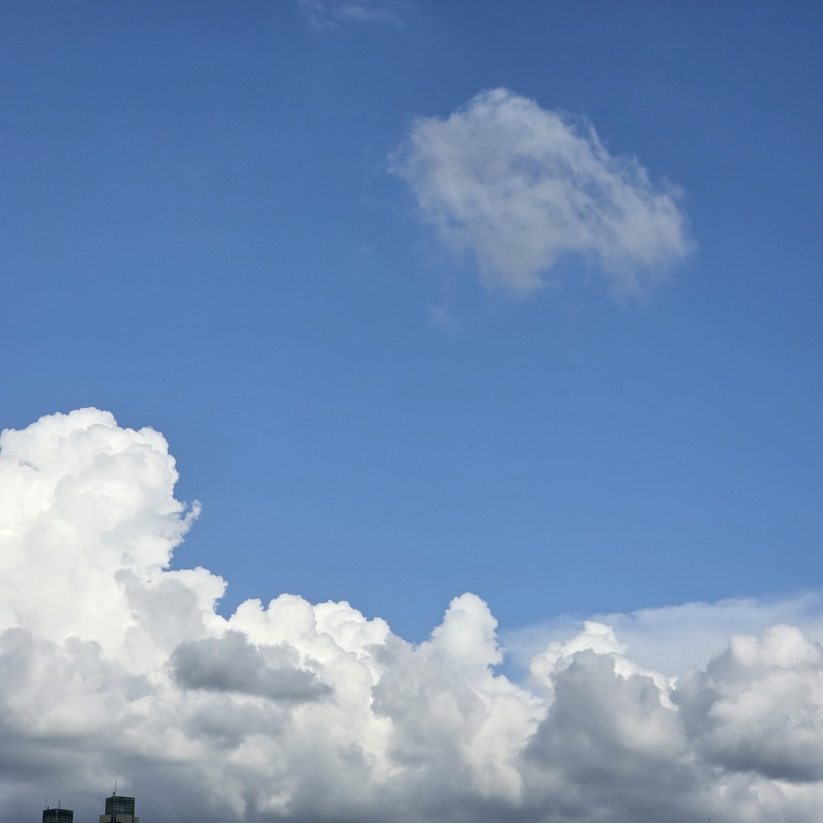 호수 tweet media