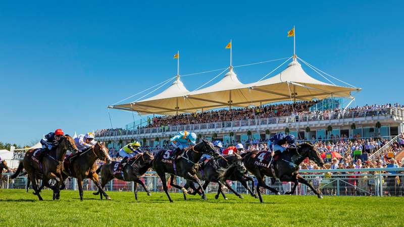 pigeon_island's tweet photo. 🐎Horse Racing Tipping Competition🐎

🐎 TUESDAY 28 JULY 🐎 #GloriousSwoop4
DAY 1 @Goodwood_Races 150 410 520 555

#OpenToAll ✅ https://t.co/0cErdch1Bz