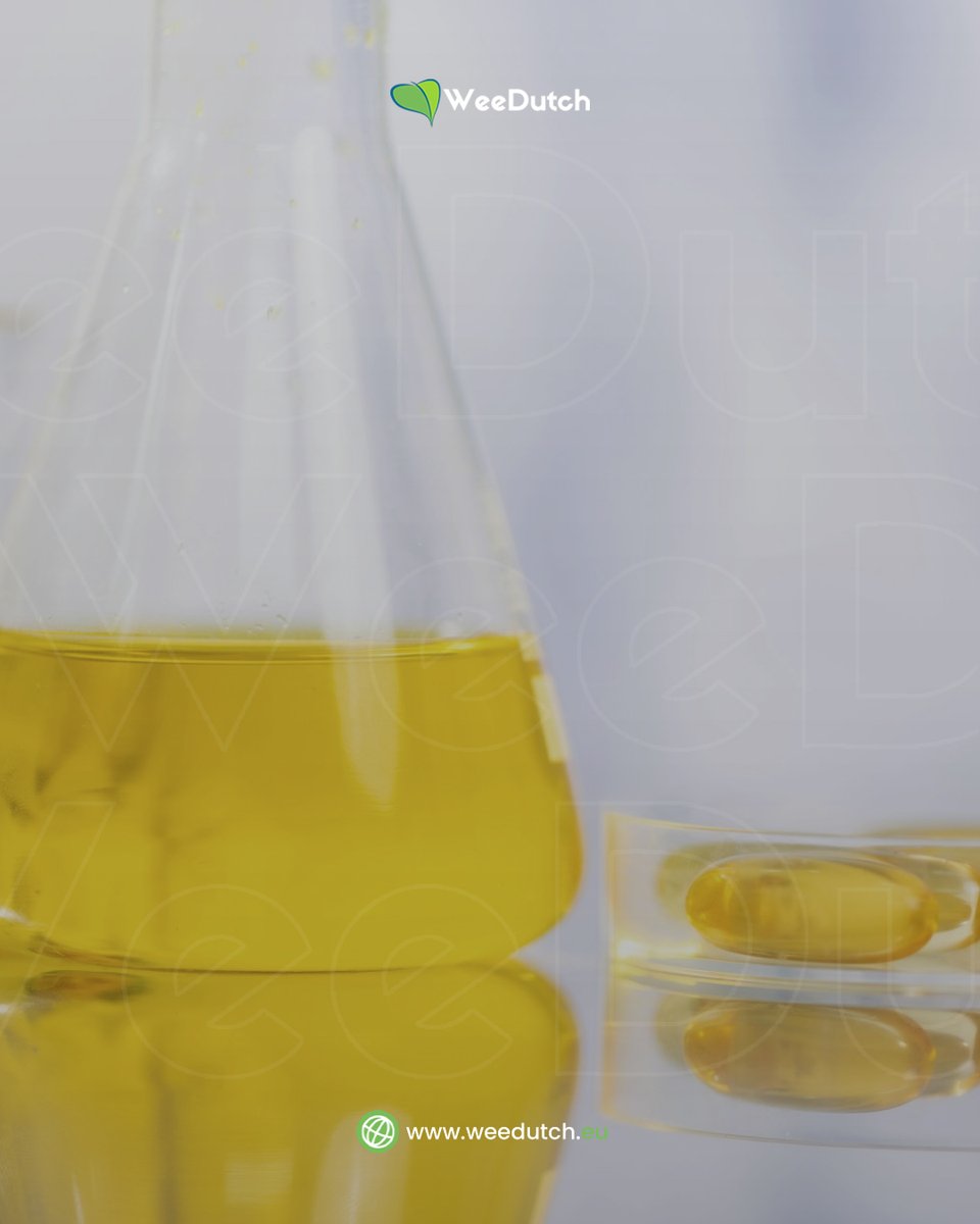 DutchWee's tweet photo. In the cannabinoid industry, bulk supply systems are structured to support both large-scale production and smaller, specialized formulations. https://t.co/yQR5KvzImK
