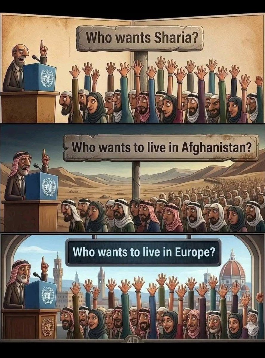 Vlamss tweet media