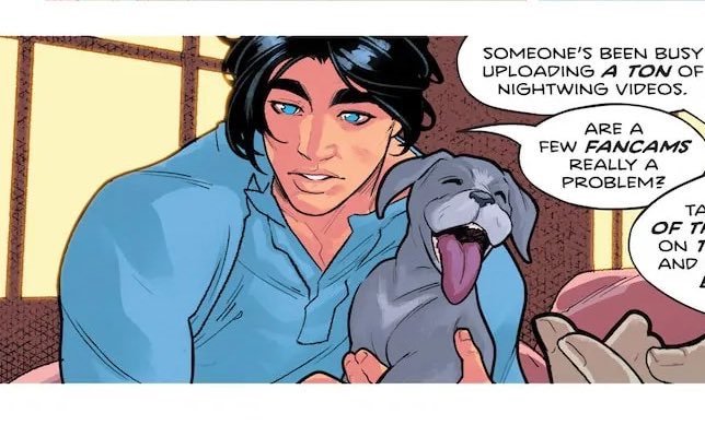 chaoticVampie's tweet photo. A minha coleção de bl/ômega nightwing: https://t.co/Akdv5ml9jC