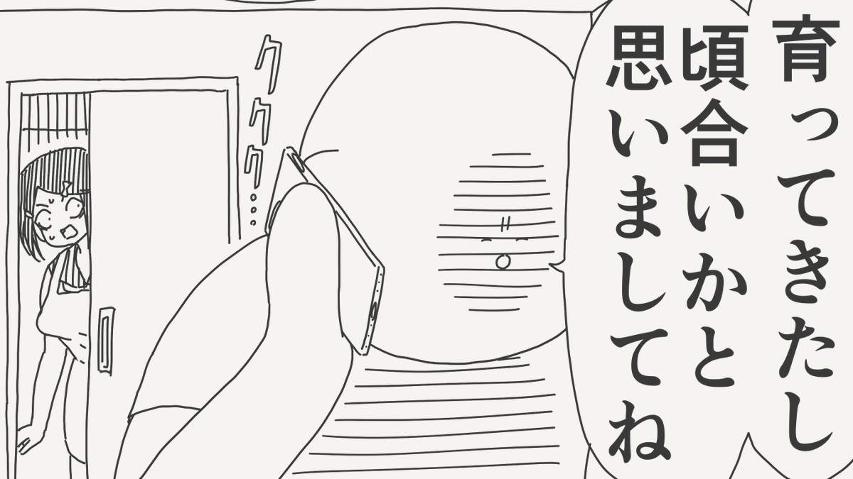 堀出井靖水/新作漫画毎日投稿 tweet media