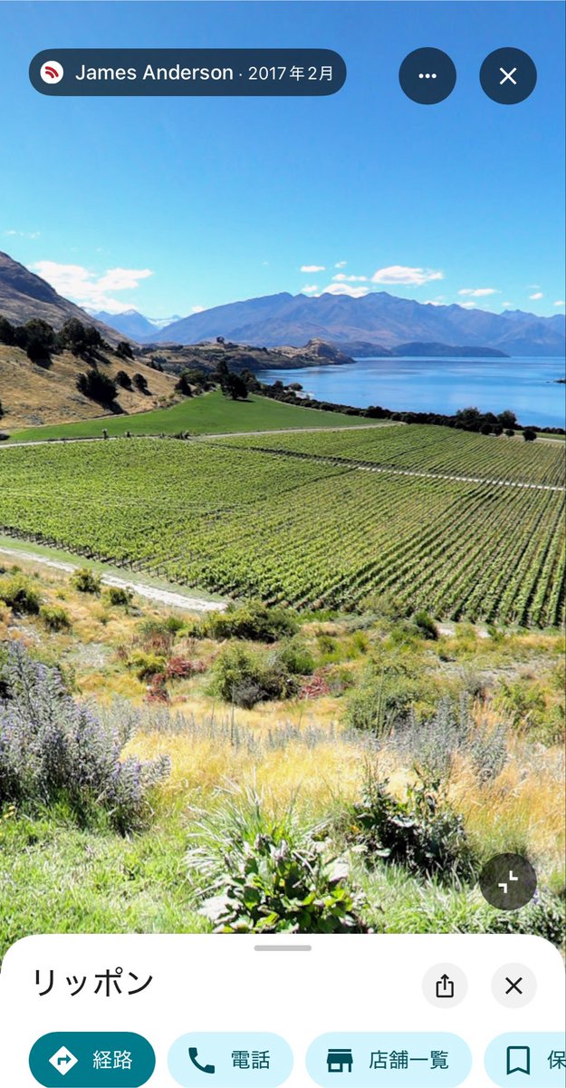 Schlamuffen8bit's tweet photo. 🇳🇿Rippon Vineyard &amp; Winery Gewurztraminer [2023]
珍しいNZのゲビュルツ。それもオタゴ。こんな時間に開けてしまった。ワナカ湖の畔ですね。
洋梨とゼラニウム、サラっとした蜂蜜。辛口の仕立てながら仄かな甘み。ゲビュルツとピノグリはこれくらいが好き。濃さもありかなりハイレベルぞ。美味。 https://t.co/mhFlafyF4N