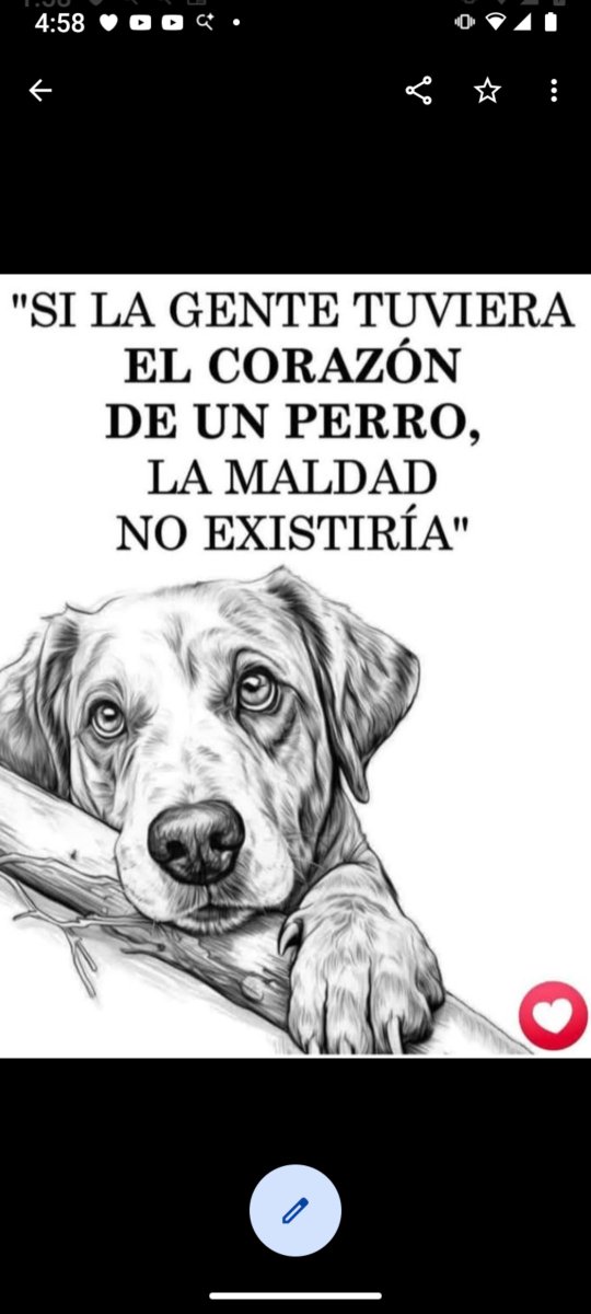 Luisgranate3's tweet photo. Una verdad inmensa! 🤗🤗🙏🙏 https://t.co/psfhis6ta4