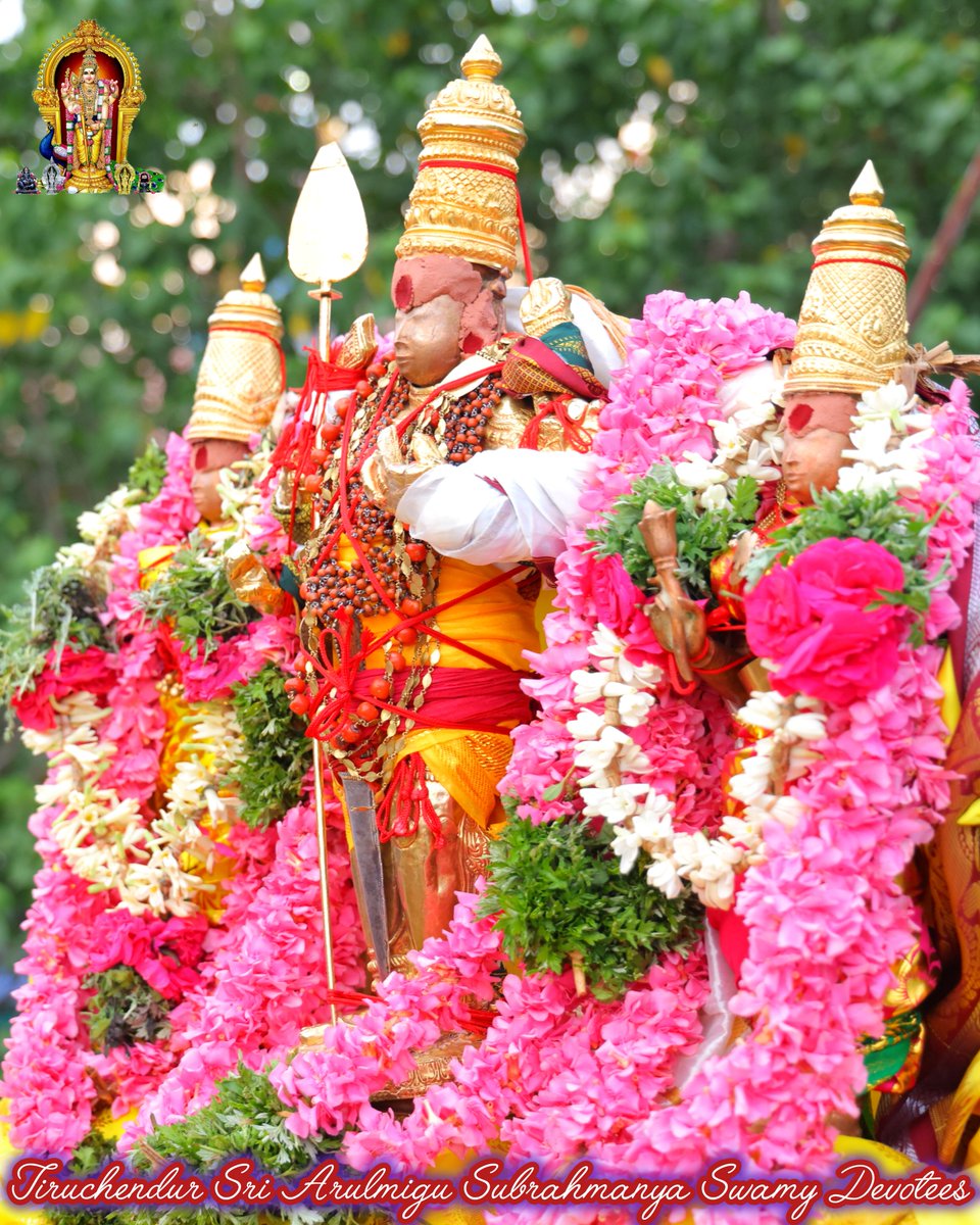 ChendurMuruga's tweet photo. ✨️செந்தூர் மாப்பிள்ளைசுவாமி ஸ்ரீவள்ளி ஸ்ரீதேவசேனா சமேத
ஸ்ரீகுமரவிடங்கப்பெருமான்✨️

செந்தூர் கந்தய்யா அருள் சேர்க்கும் குமரய்யா
துணை வந்தால் முருகய்யா நான் வாழ்வேன் வேலய்யா
தாயய்யா புவியெல்லாம் தாங்கும் நீ முருகய்யா
தூயோன் உன் திருவடியை தொடுகின்றேன் வேலய்யா!

#முருகாசரணம் 🐓🦚 https://t.co/wqokaphilK