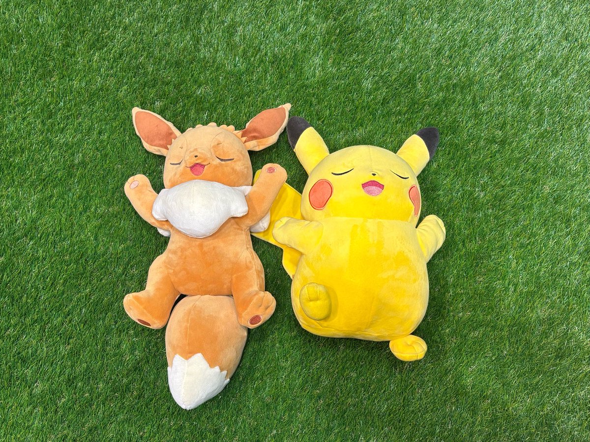 hirari_sans2's tweet photo. #ポケスリ3周年をみんなで  
以前出張所に展示されてたピカブイ🤎💛
寝顔が可愛かったです╰(*´︶`*)╯ https://t.co/IGaGayY0zW