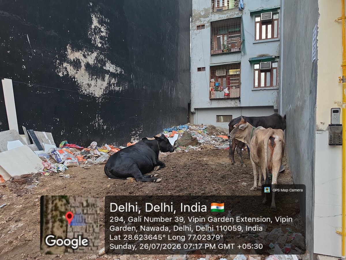 escapewithdev's tweet photo. @MCD_Delhi  dear team please is jagah jo ढूँढ़िये और इसपर करवायी कीजिए यहां पर ek आदमी ने tabela खोल rakha है जिसकी वजह से पूरी गली का हाल बेकार हो गया है @gupta_rekha  आप से निवेदन है कि जल्द से जल्द एक्शन लीजिए ye जगह नए अटल पार्क की जगह पर है https://t.co/YBzmGH2190