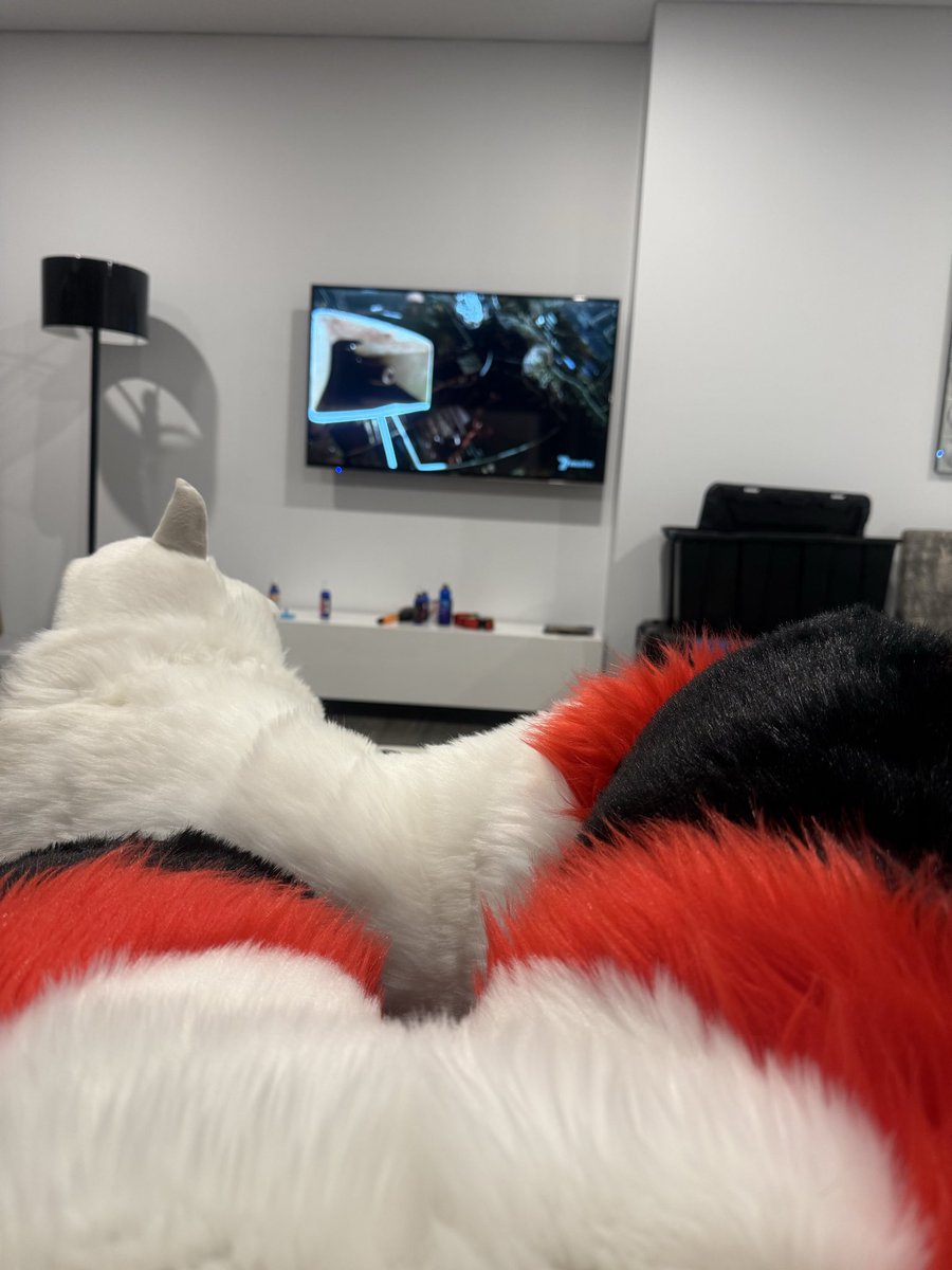 BaxterWolf tweet media