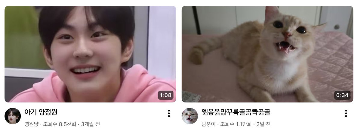 aniyapp's tweet photo. 와우. 알고리즘 https://t.co/y1HWH74Fcd
