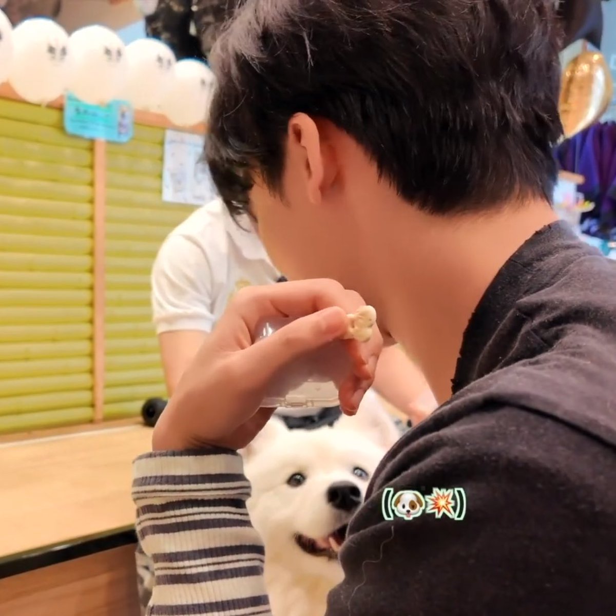 ddusooni's tweet photo. 제노쨩 🐻‍❄️🐻‍❄️ https://t.co/lNqtDXH7g7