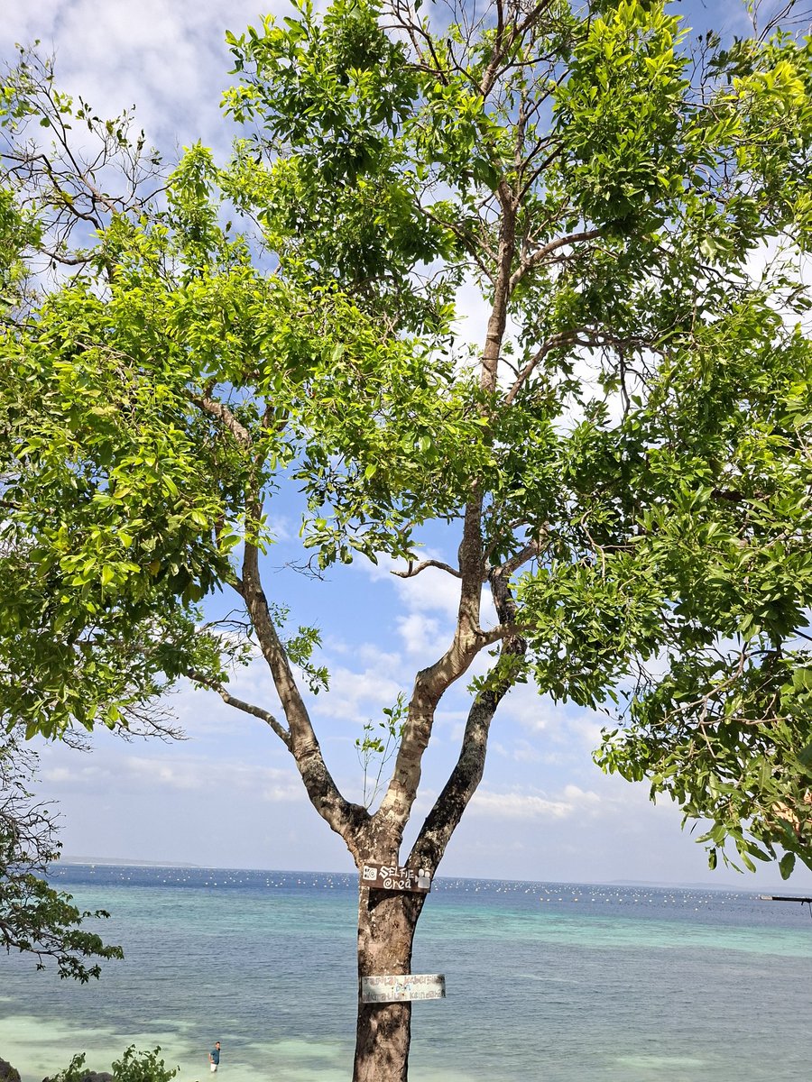 its_Weenn's tweet photo. @baseconvo Pakai A56. Aku cuma pakai mode Potret sama ngandelin cahaya. https://t.co/4LZUVCo2qu