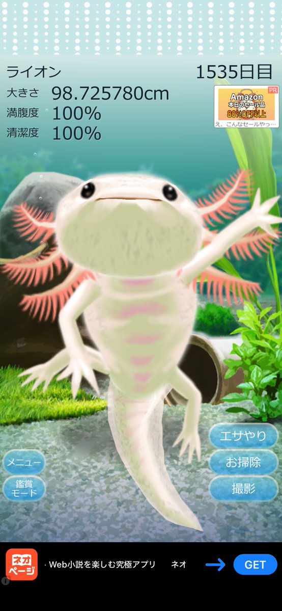 _qqpqq's tweet photo. 俺のライオンより育ってるウーパールーパー見たことない https://t.co/Xw3JyEDK2E