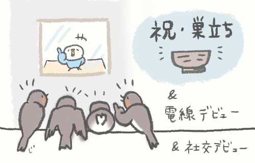 junkomemo tweet picture