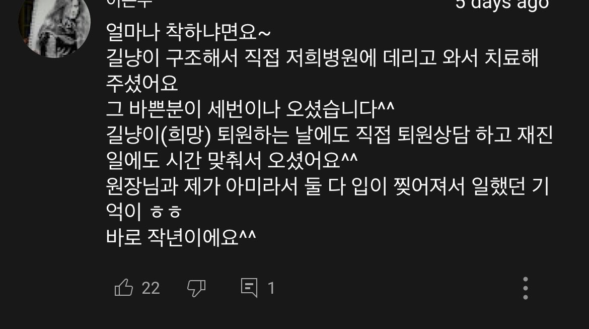 _1IloveHoseok's tweet photo. Hoseok is a truly wonderful person. He is extremely kind. He adopted that stray cat he saw injured, took care of it, and used to visit it to check on it, and now it has become his pet cat 🥺☹️ https://t.co/UJwisHDZRZ