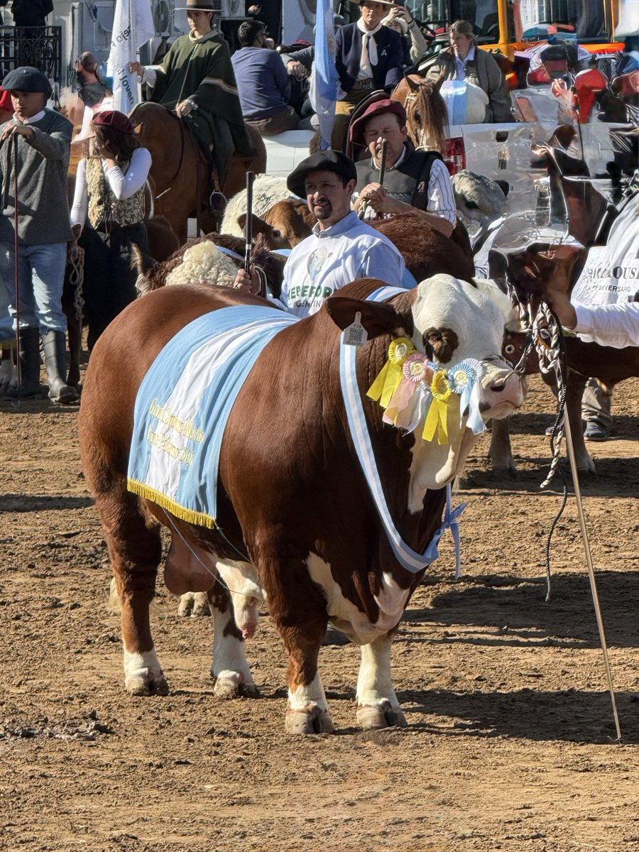 aetchebarne's tweet photo. “Yo soy toro en mi rodeo y torazo en rodeo ajeno”. 
Martín Fierro (de José Hernández) https://t.co/PBrR9mQN8f
